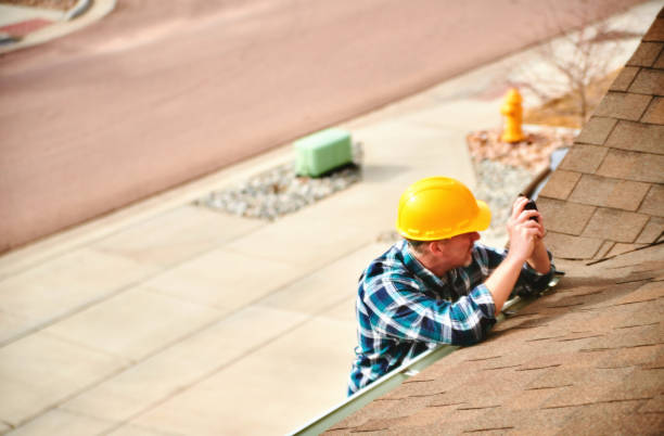 Best Roof Gutter Cleaning  in Sycamore, GA