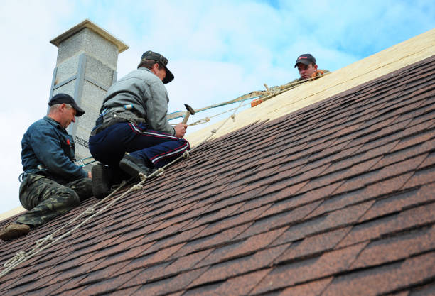 Roof Gutter Cleaning in Sycamore, GA