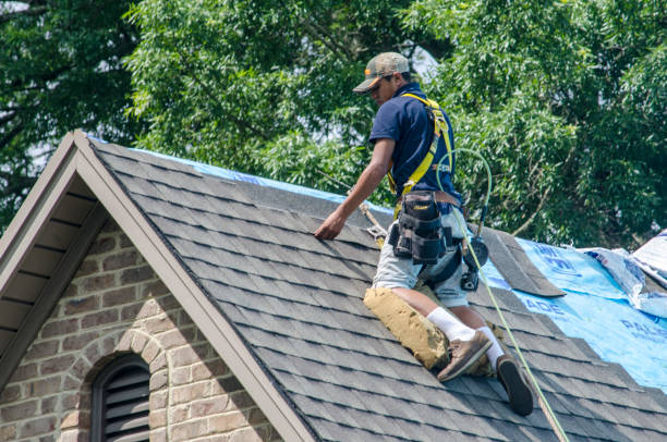 Best Residential Roofing Contractor  in Sycamore, GA